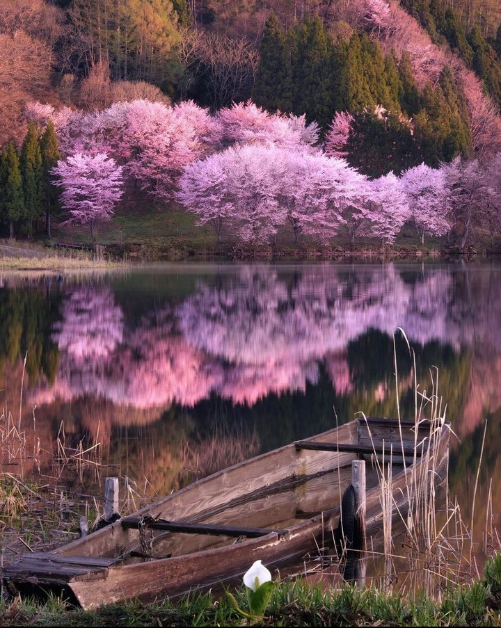 Reflection