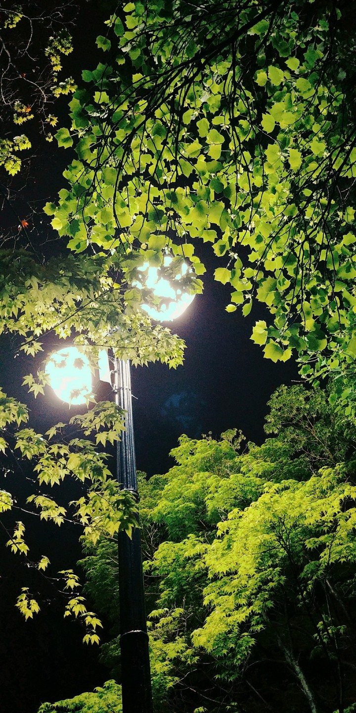 night after the rain