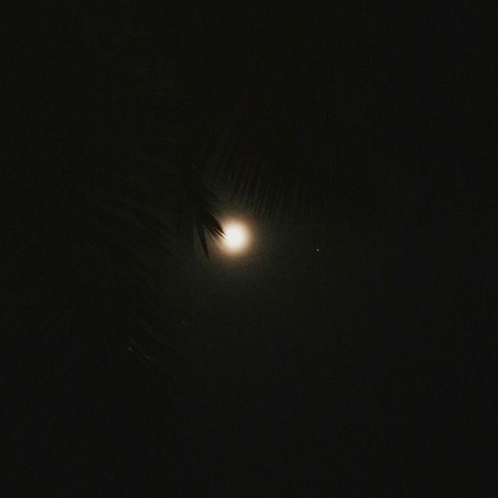 moonlight