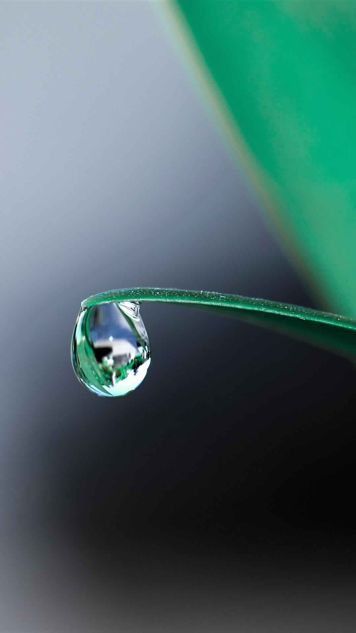 Water drop