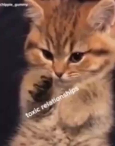 ❤