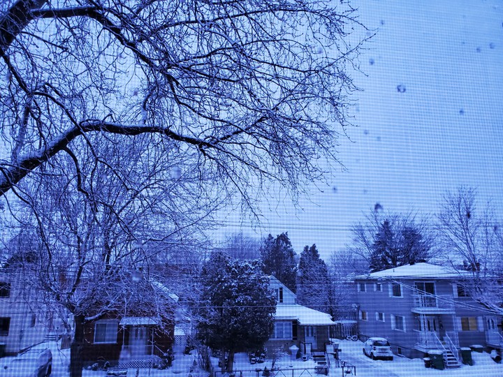 Snow winter