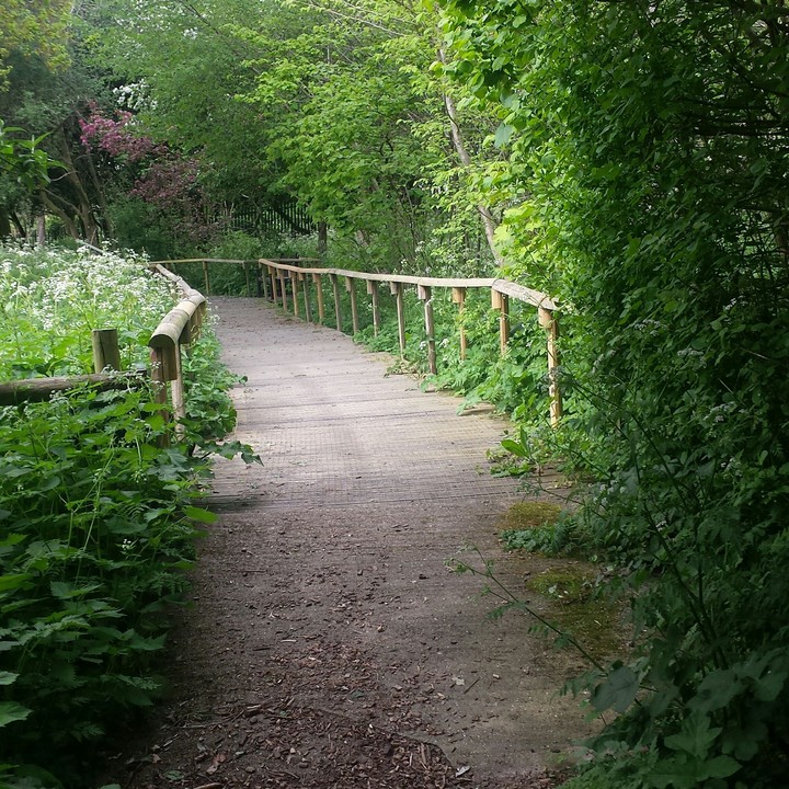 Abbey Gardens, Glastonbury