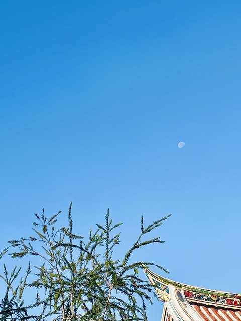 tree, landscapes壁紙