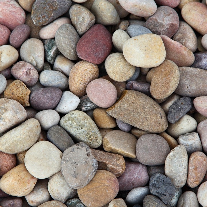 the beauty of nature.