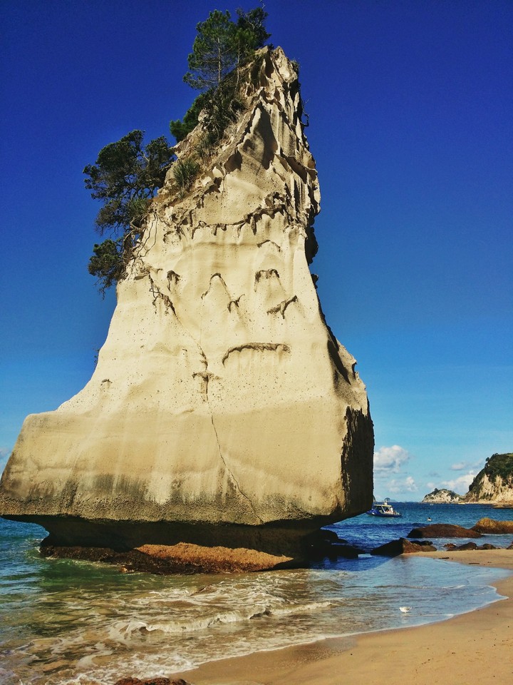 Coromandal NZ