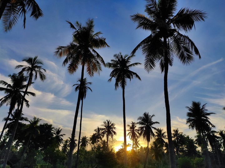 sunrise