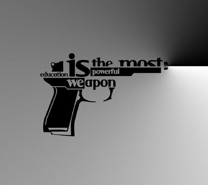 study gun