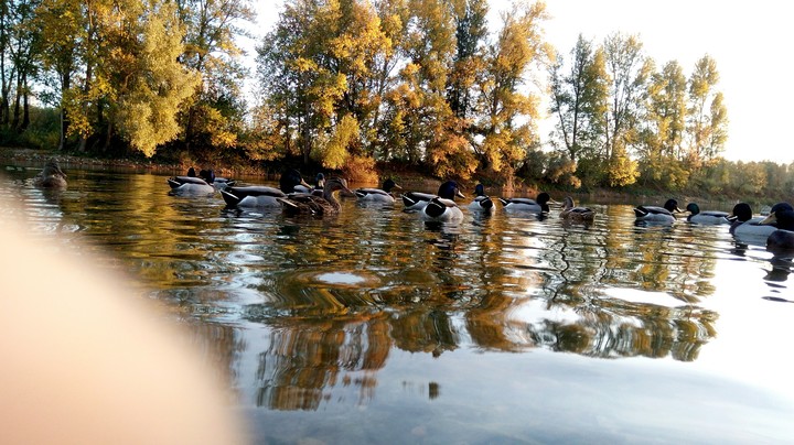 Loire