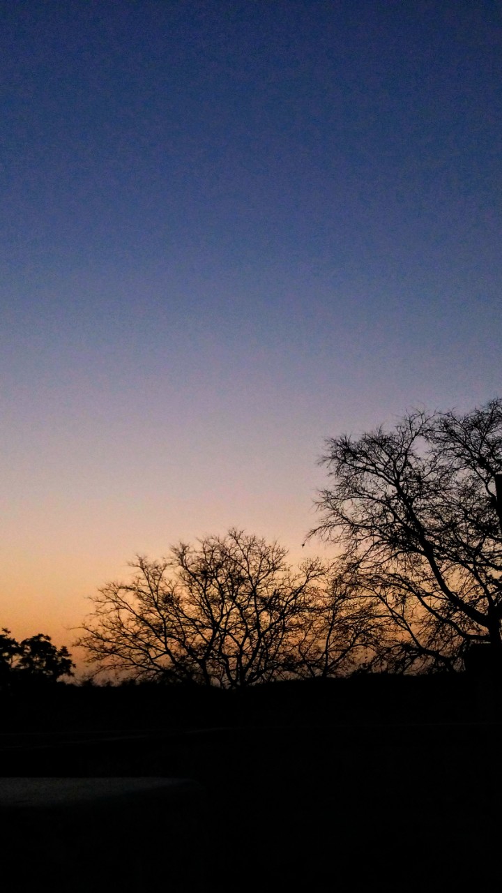 morning click