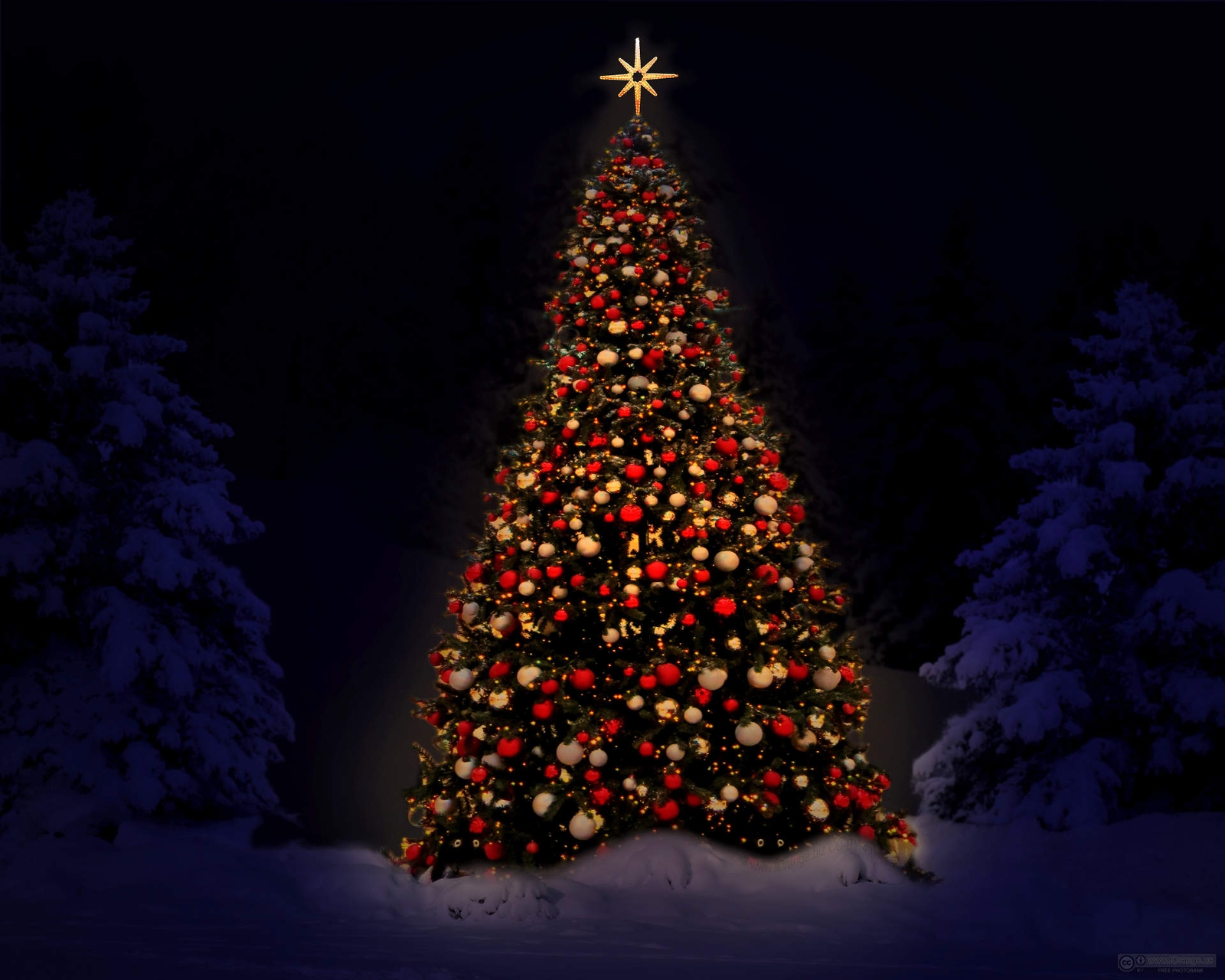 Christmas Tree