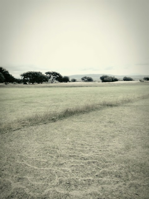 camp