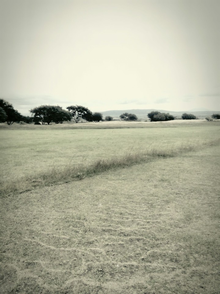 camp