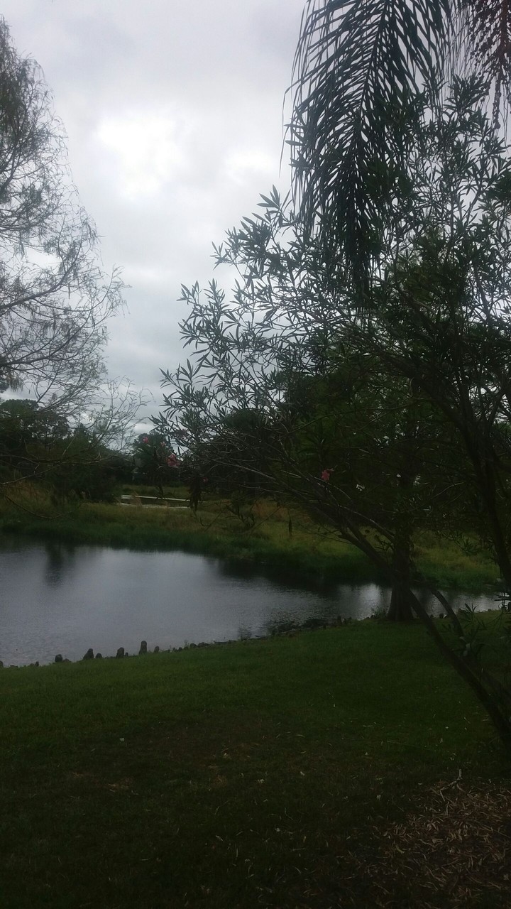 cloudy day 4