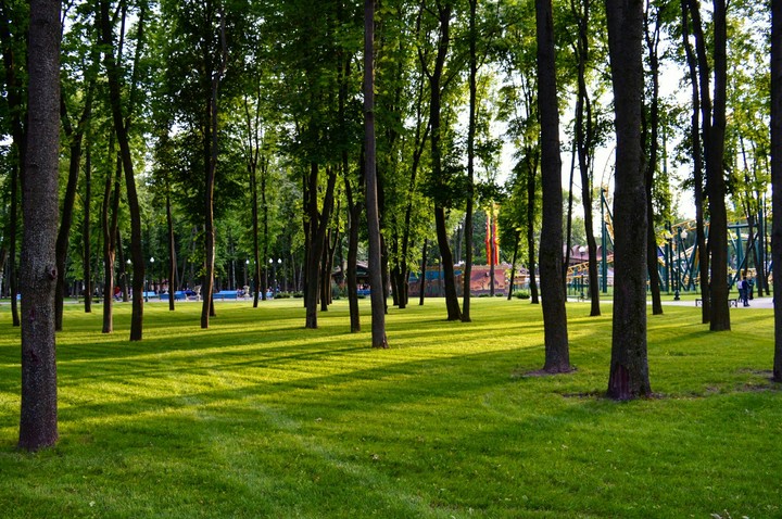 Summer day