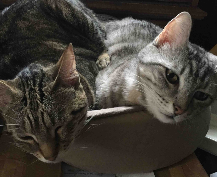 best friends