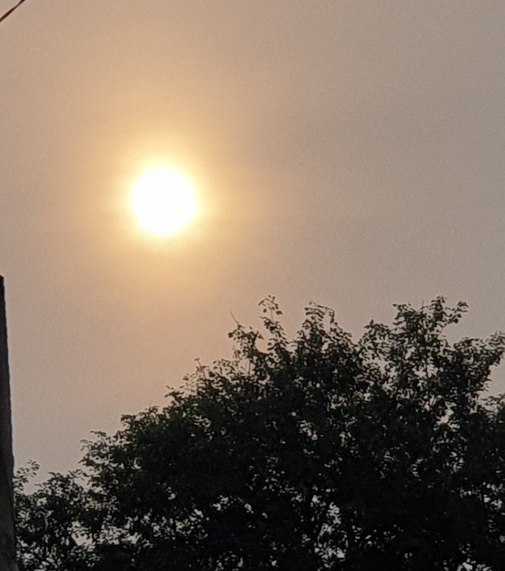 Winter sun