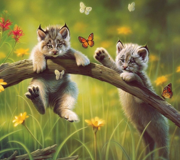 Cute Kittens