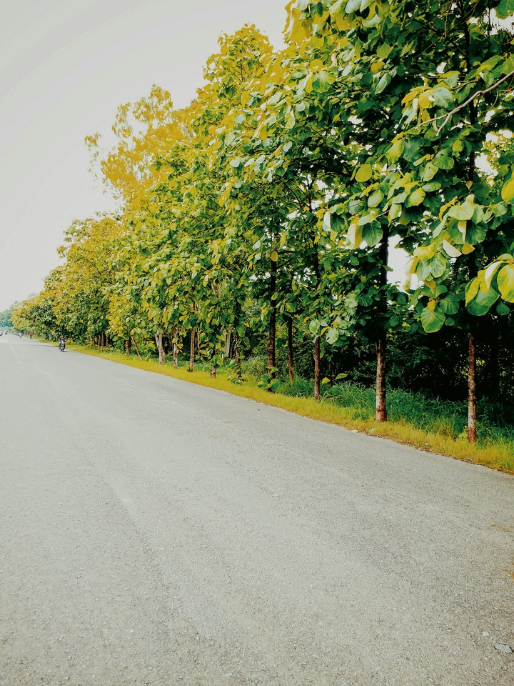 "The road not taken"