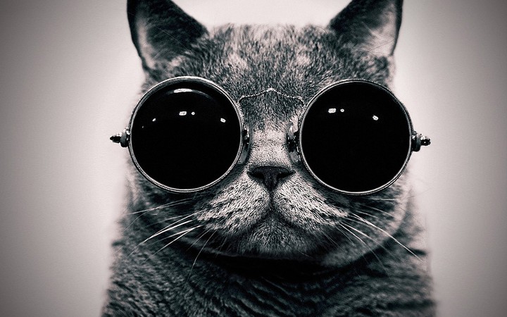 sweg