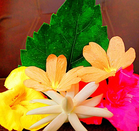 flowers