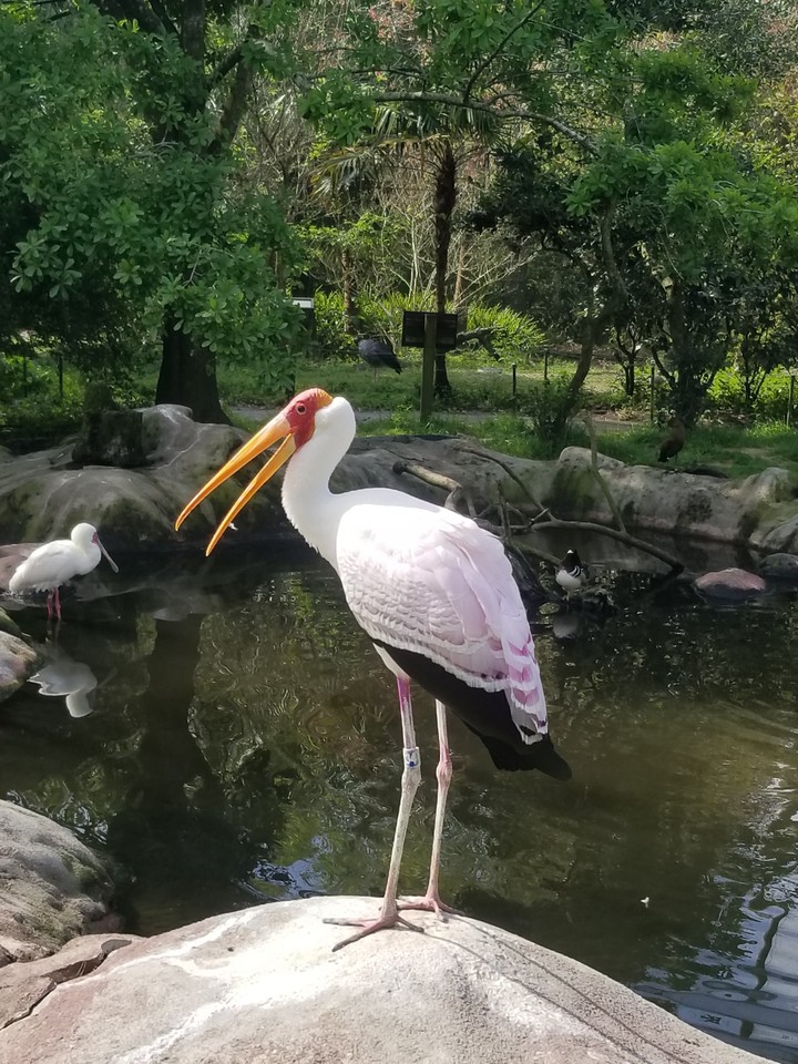 Fun in Florida