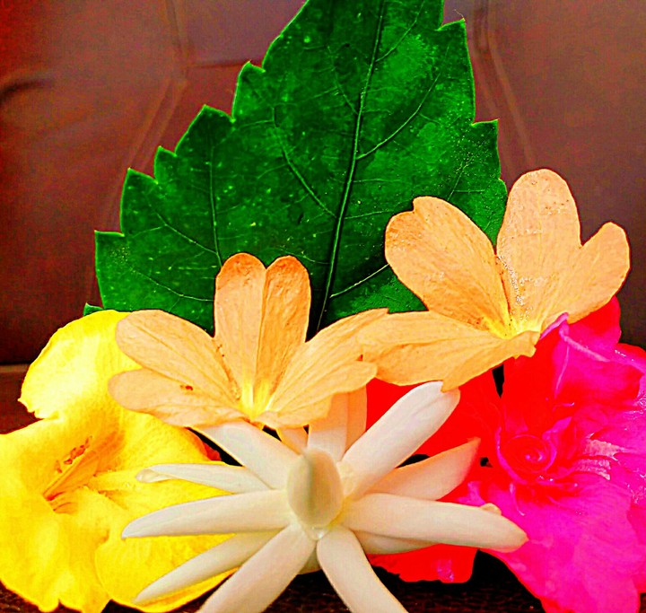 flowers