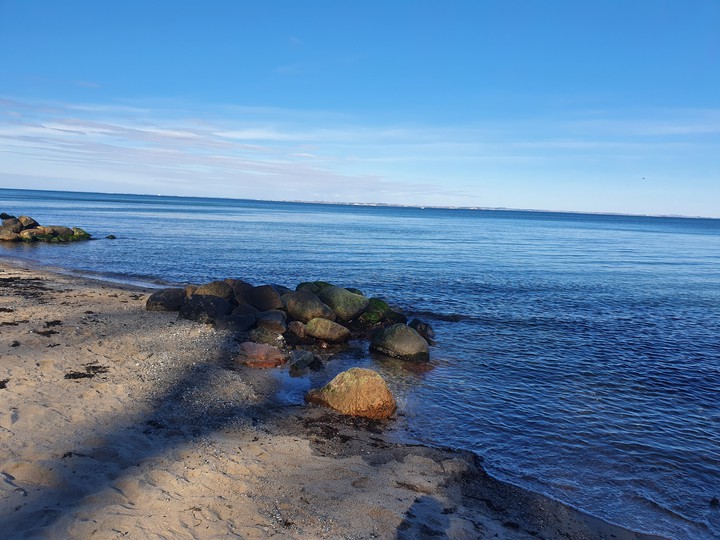 Vitamin sea ♥️