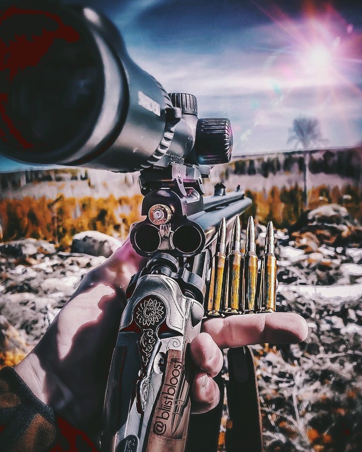 gun