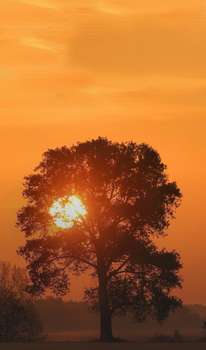beautiful sunset
