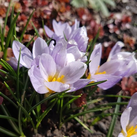 Spring's here :)