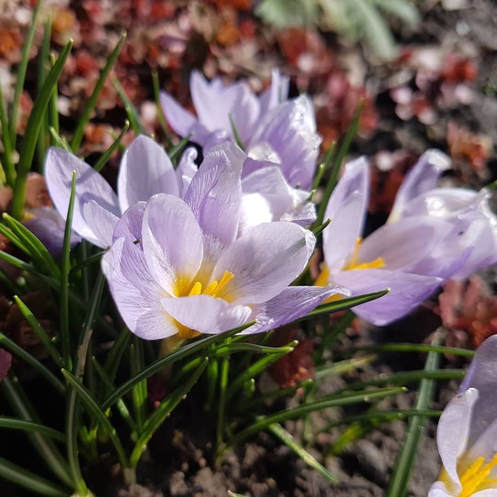 Spring's here :)