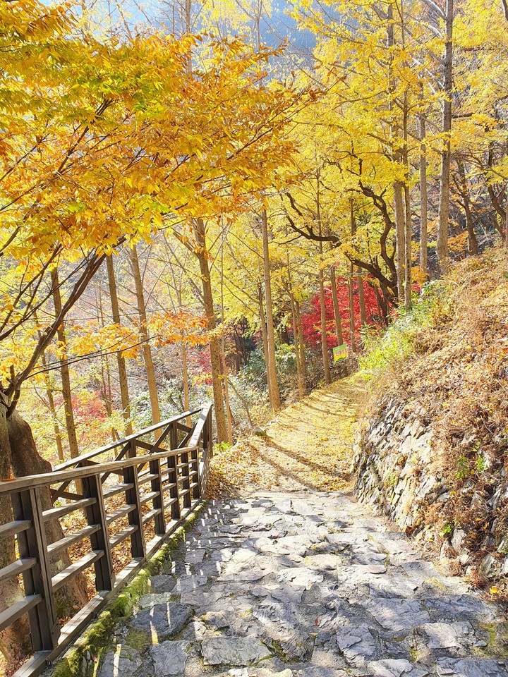 autumn
