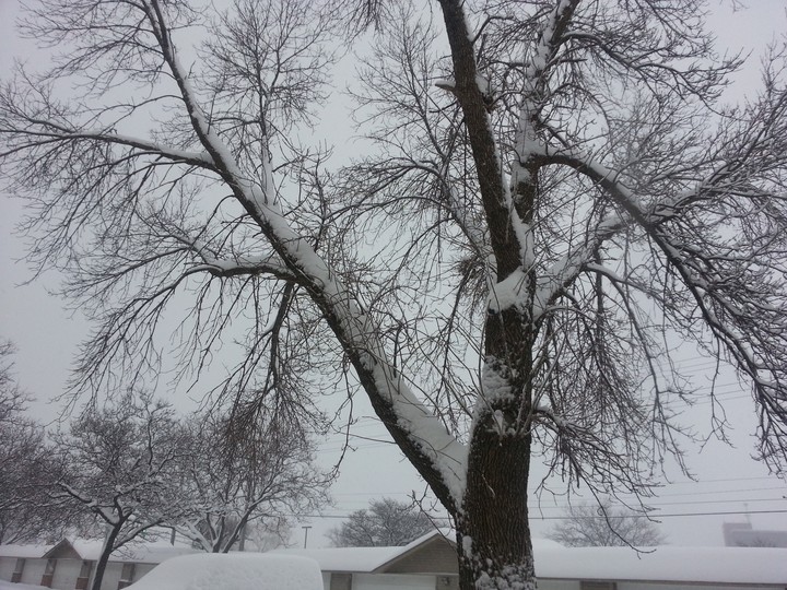 Snow storm