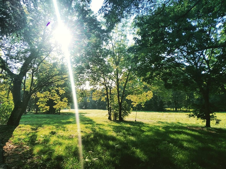 nature