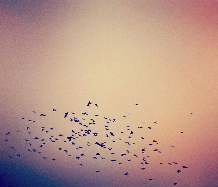 Sunset Stories.