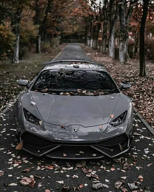Lamborghini