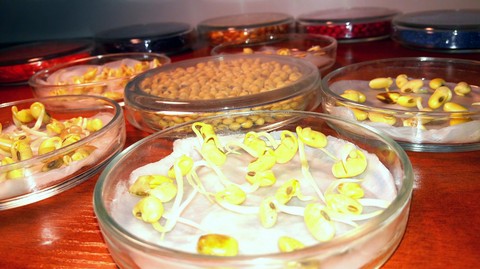 agrolaboratory