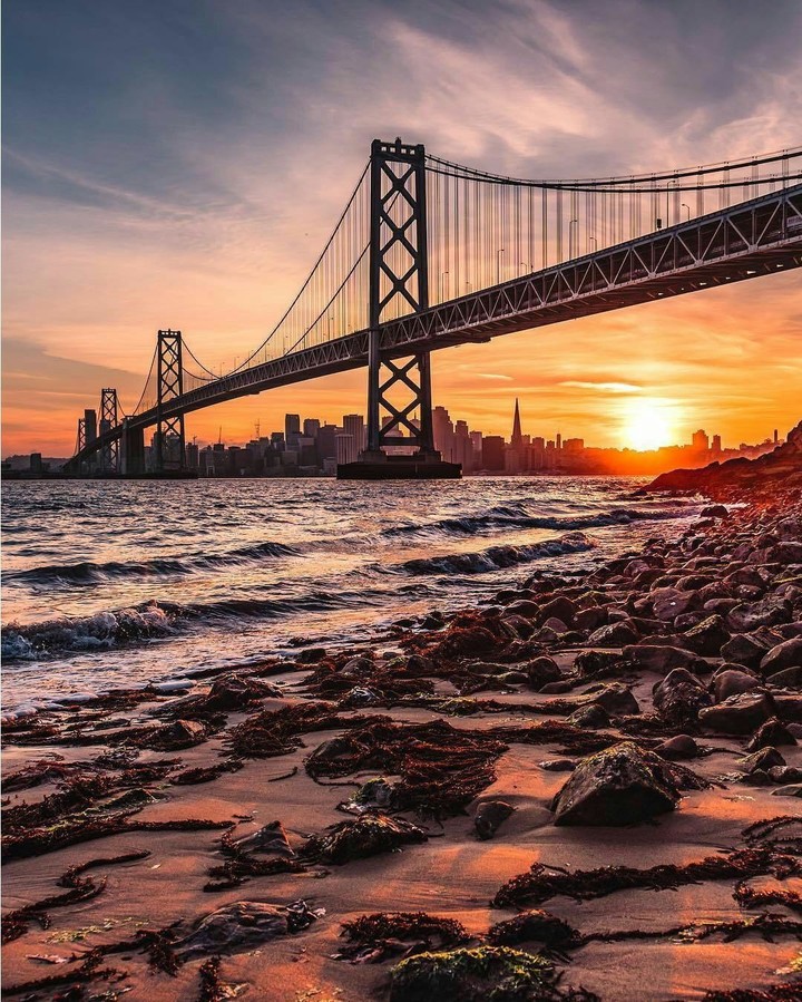 bridge