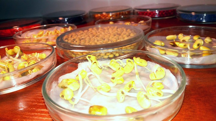 agrolaboratory