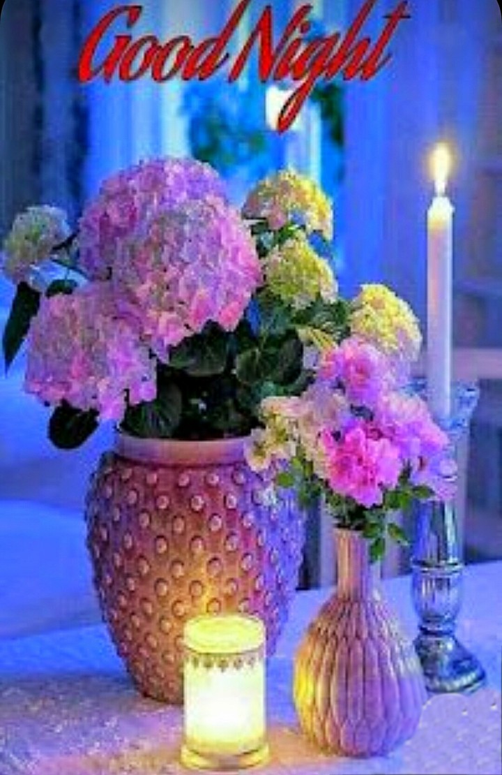 Good night ✨