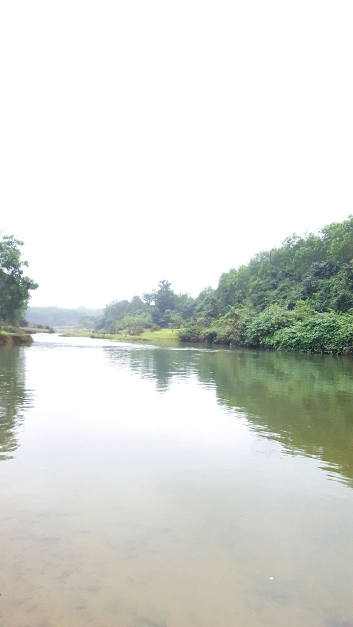Sông nước Việt Nam