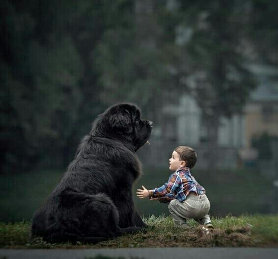 amazing friendship