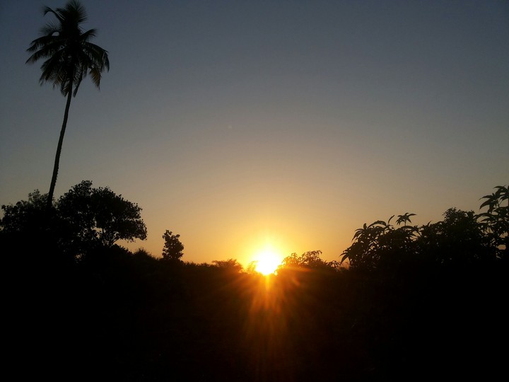 sunset