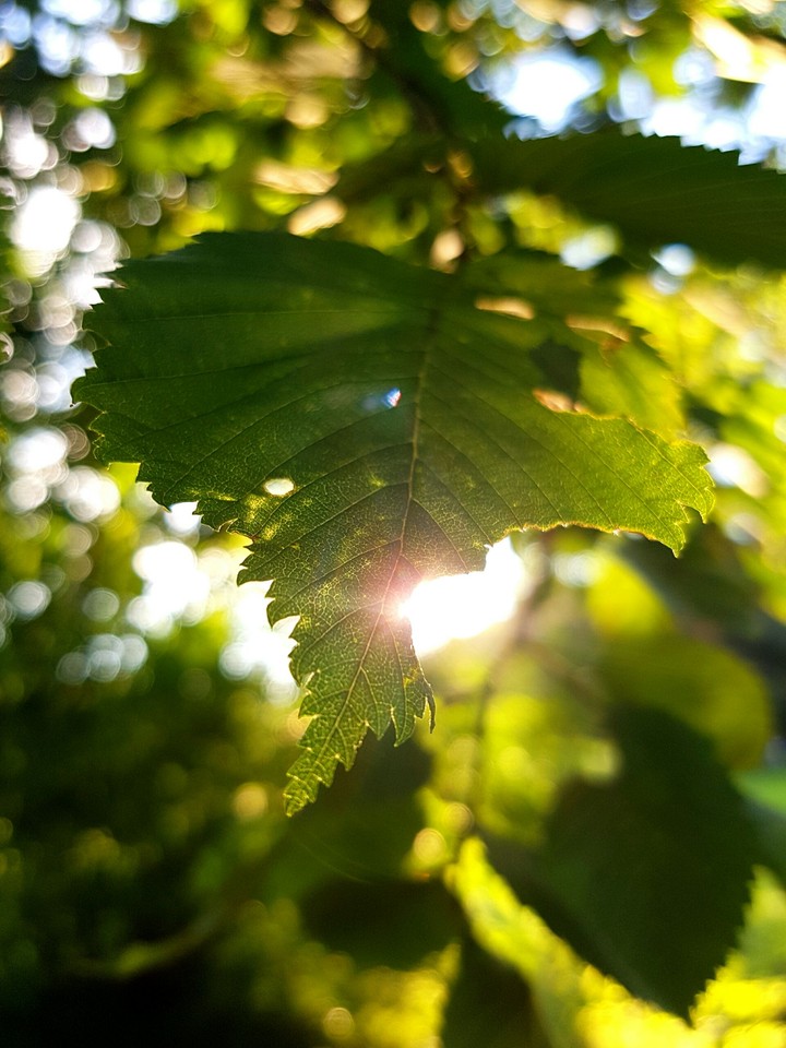 432