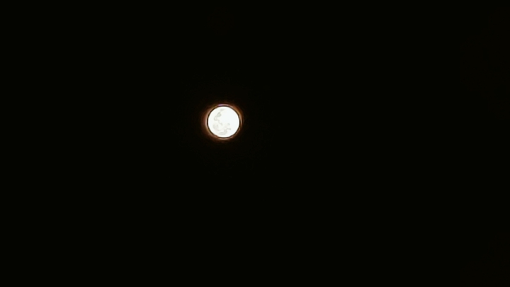 Night Moon