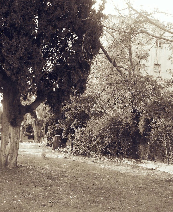 The hope garden..