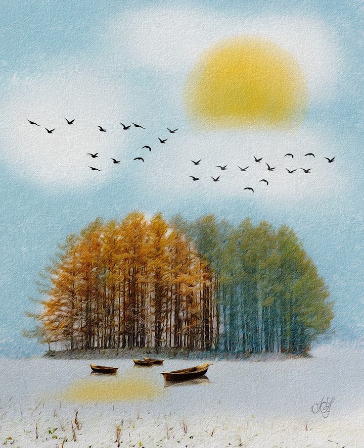 Peaceful Place