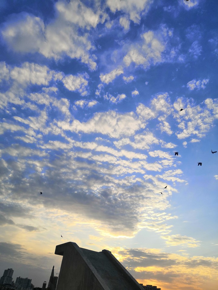 Caught birds in beautiful sky!