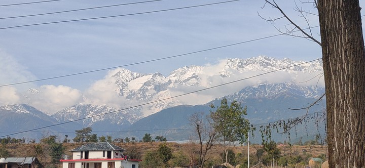Morning near Dhauladhar range